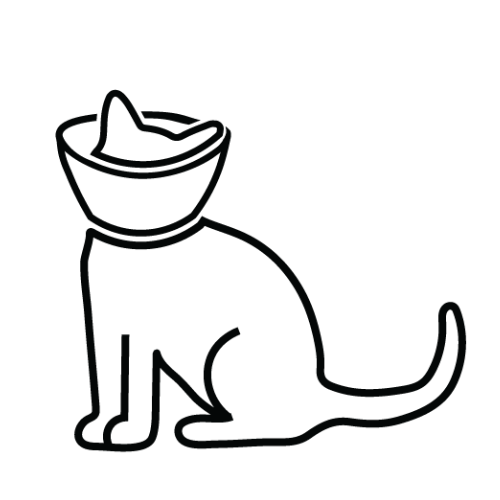 Cat in a cone Icon