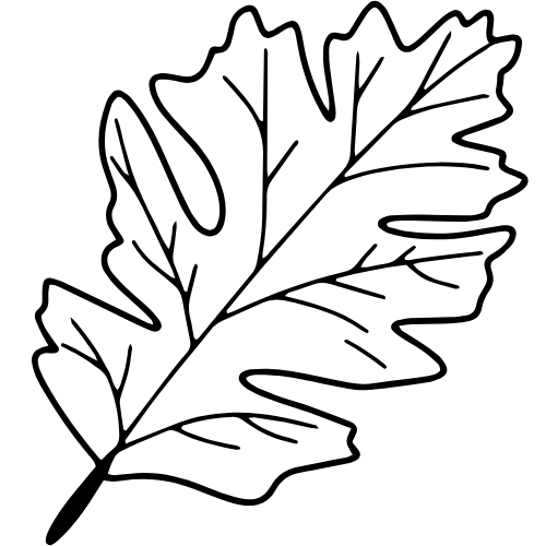 Oak Leaf- black Oakwood Veterinary Hospital Favicon