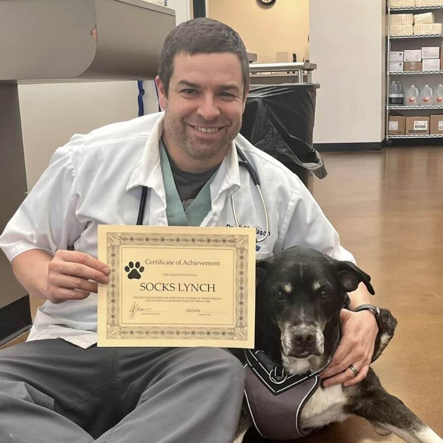 Dr. Mason holds a Certificate of Achievement for a dog named Socks Lynch. The dog sits calmly beside him in a veterinary clinic.
