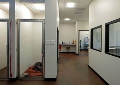 Oakwood Veterinary Hospital kennel area