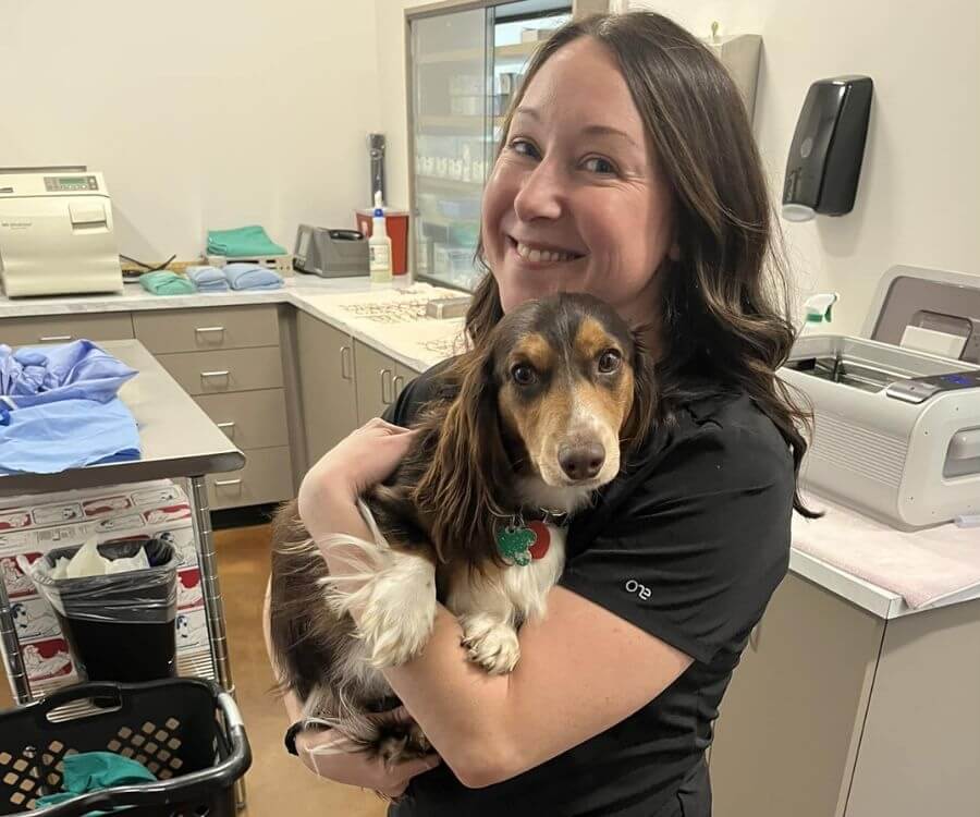 Oakwood Veterinary Staff at holding a dog