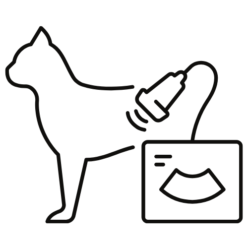 Pet Xray Icon