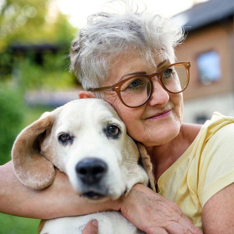 Elderly woman with short gray hair and glasses lovingly hugging a beagle dog outdoors in a garden setting