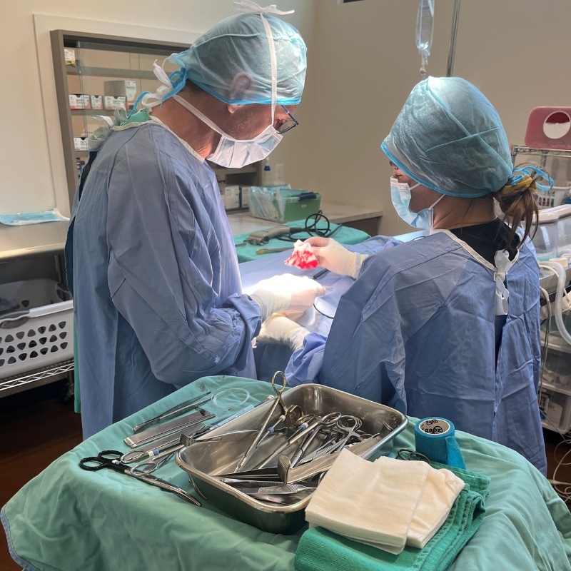 surgeons in a surgical room