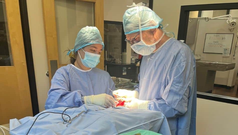 Two surgeons in scrubs performing surgery on a patient