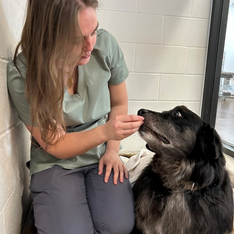 Elderly woman with short gray hair and glasses lovingly hugging a beagle dog outdoors in a garden setting