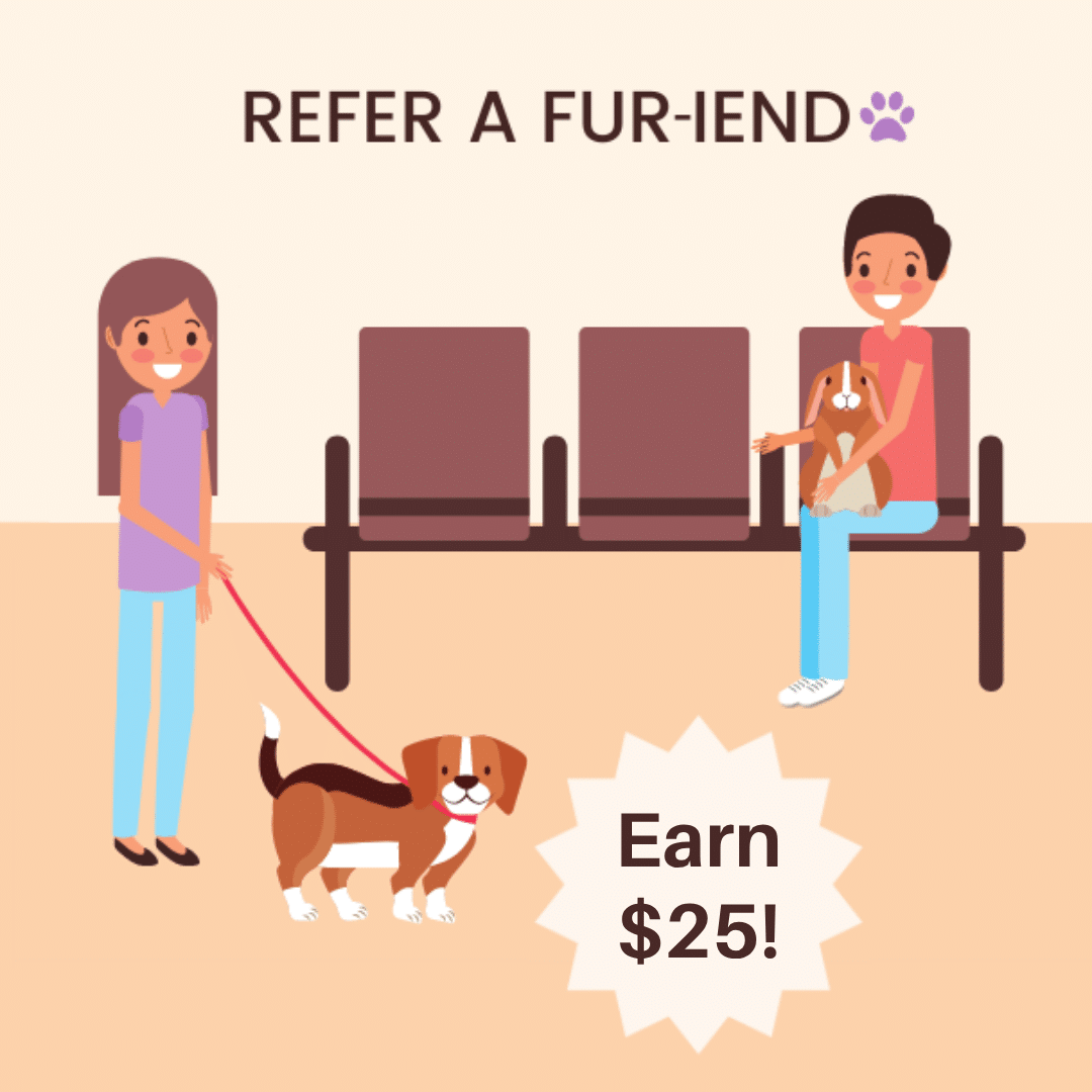 Fur iends Social Graphics 30 1